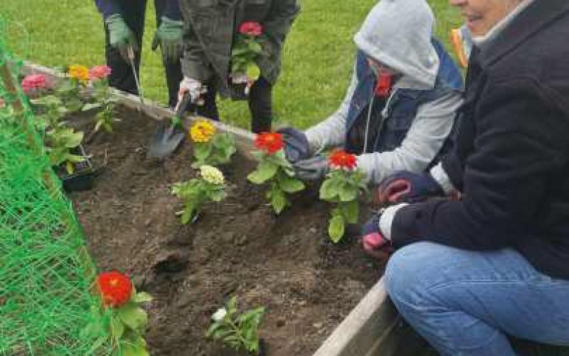 Although a bit breezy, flowers and vegetables were planted in the PHCA raised garden.