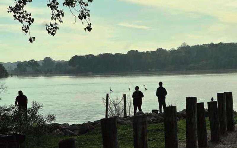 Local fishermen at Orleans Park, with blue heron cranes in the background, taken by Sharon Black on May 26.