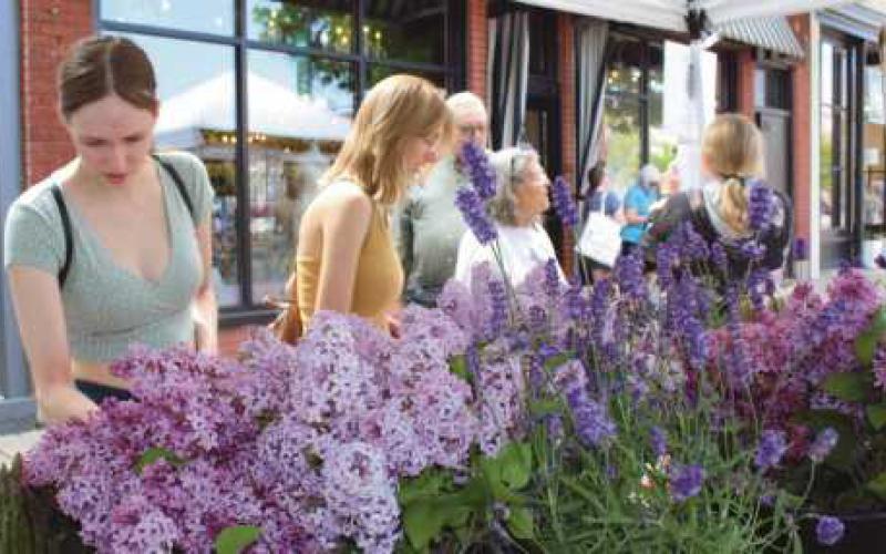 ‘Visit Perrysburg Market Days’ draws opening day crowd