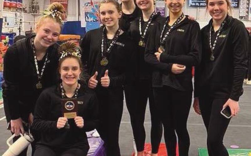PHS JV gymnasts win championship