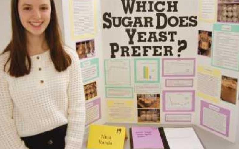 St. Rose students qualify for district science fair