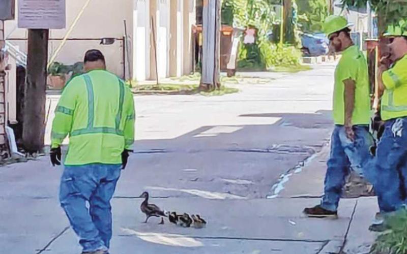 Perrysburg public service saves the day