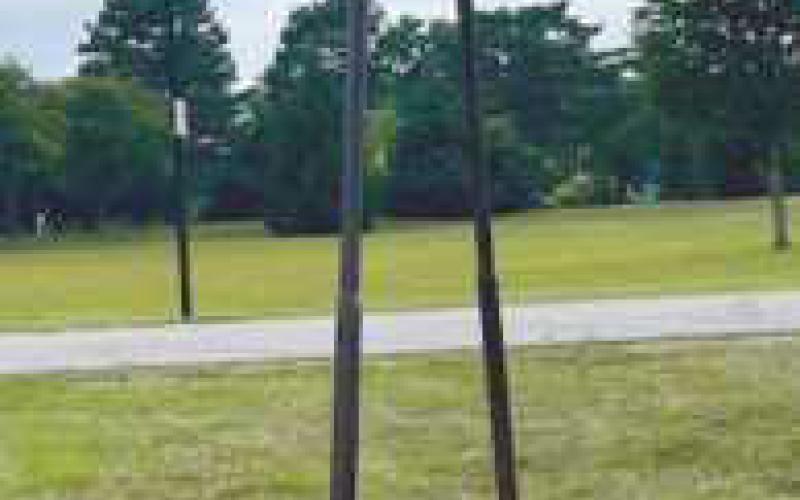 “I Went to See” by J. Aaron Alderman was named Best of Show of the Perrysburg Sculpture Walk at Woodlands Park.