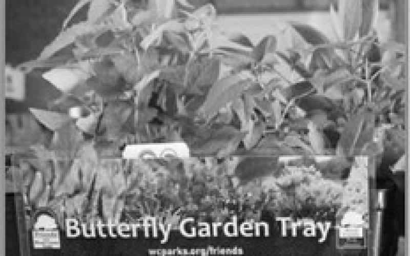 Friends of Wood County Parks host annual Native Plant sale at fairgrounds