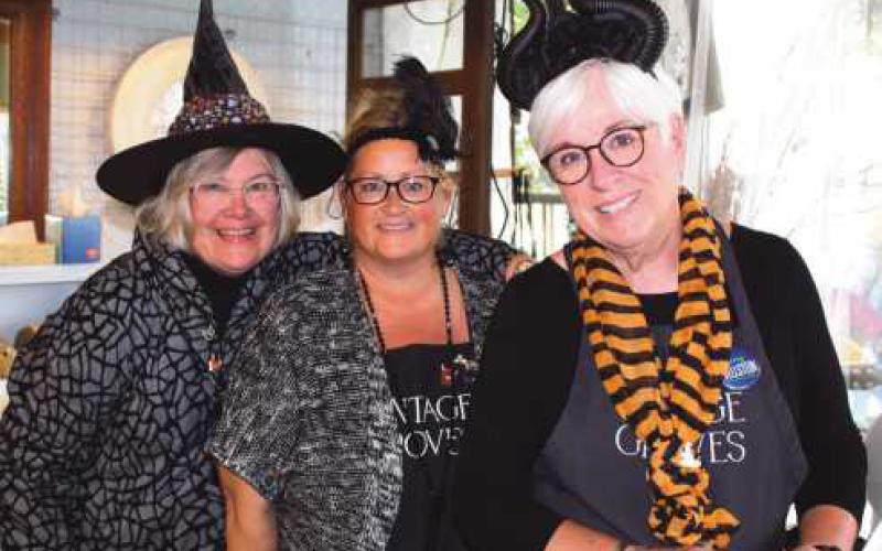 Witches Walk held in Downtown Perrysburg