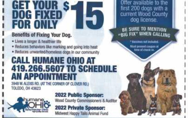 Big Fix pet spay/neuter program records another successful year