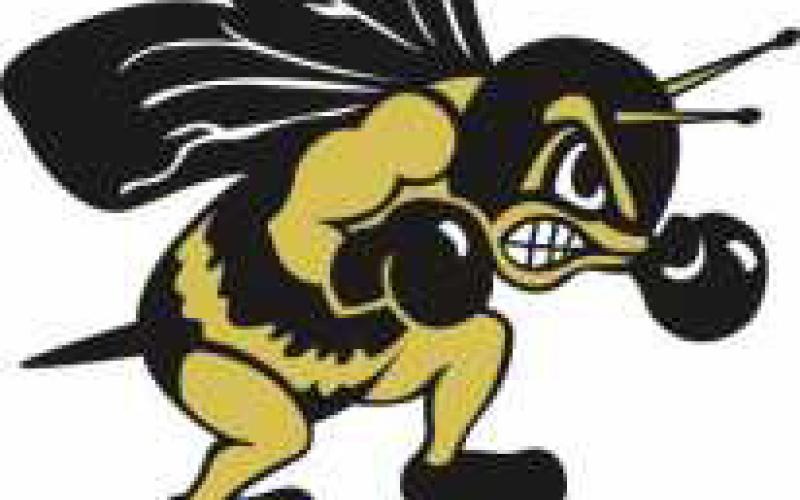 Yellow Jackets