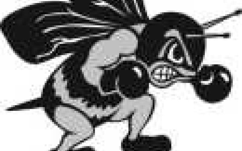 PHS volleyball Perrysburg girls varsity volleyball team defeated Anthony Wayne in three games, 25-15, 25-18, 25-17; and then defeated Northview 25-21, 21-25, 25-21, 25-17.