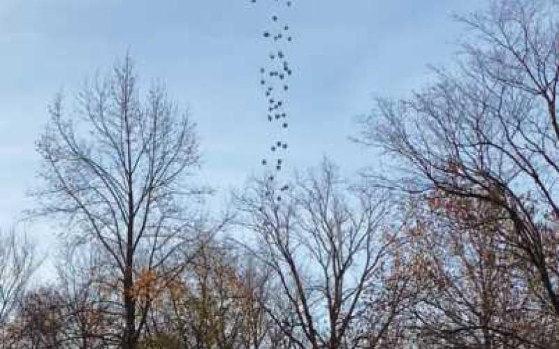 A drone will drop foam turkeys during the Wood County Museum’s fund-raising event.