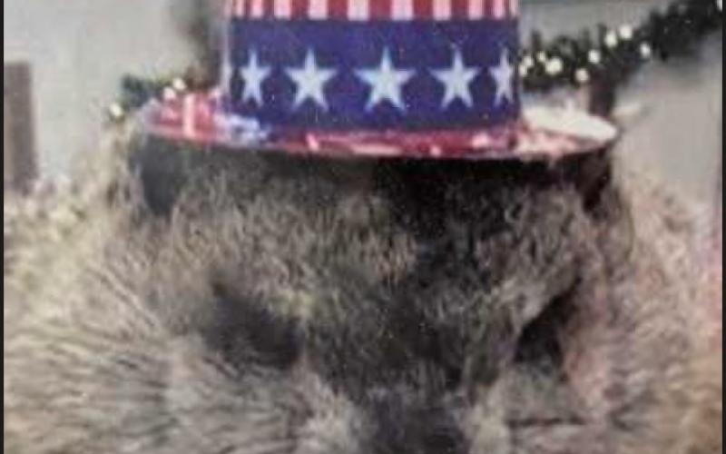 Holland celebrates community’s legendary groundhog, Hucky