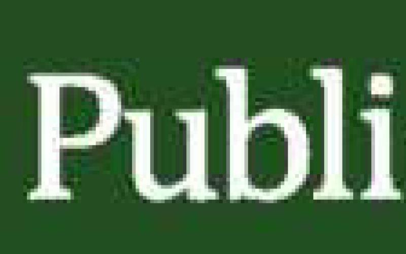 Way Public Library