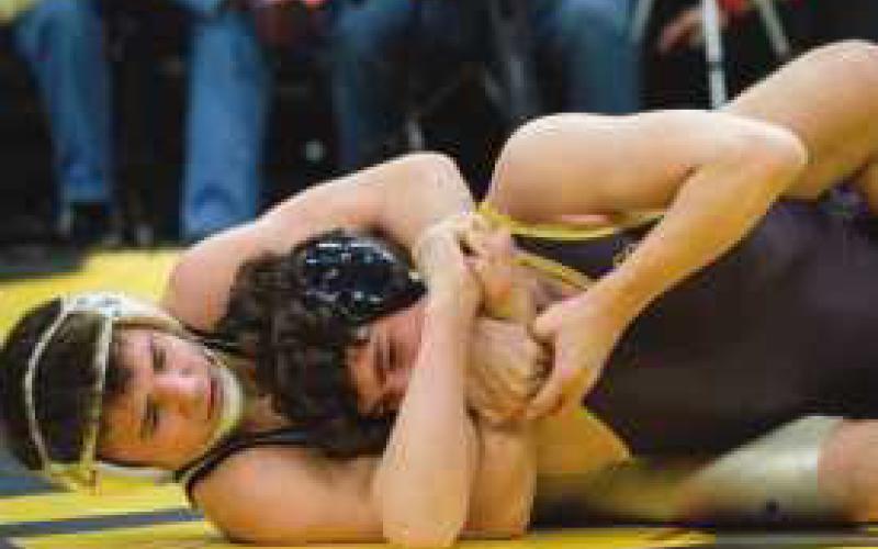 PHS wrestlers compete at OHSAA tournament