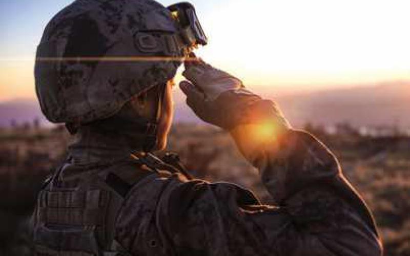 Eight ways to honor veterans