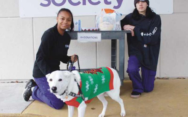 Journal newshound assists with delivery of supplies to furry friends