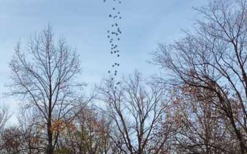 A drone will drop foam turkeys during the Wood County Museum’s fund-raising event.