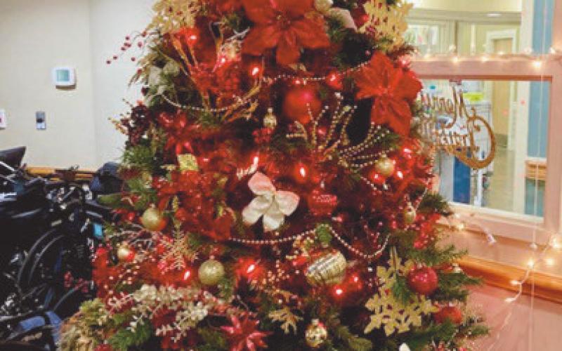 The Manor at Perrysburg, 250 Manor Drive, invites the community to visit and enjoy the many decorated Christmas trees on display through December. For more information, call 419-874-0306.