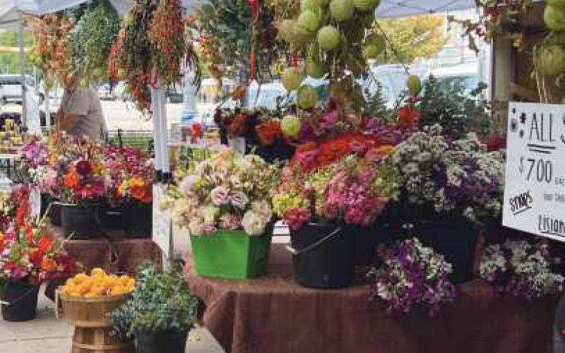 ‘Visit Perrysburg Market Days’ to make downtown debut