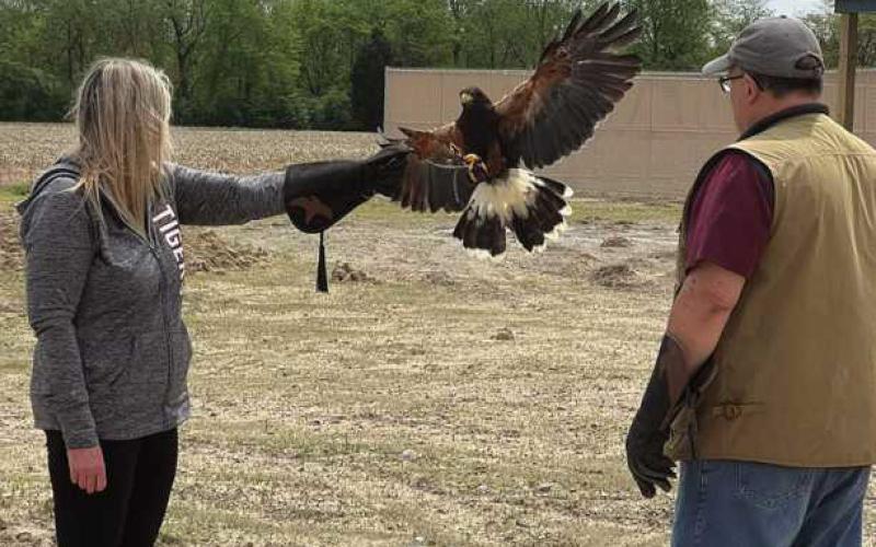 Nature’s Nursery and Ohio School of Falconry offers chance to win a unique falconry experience