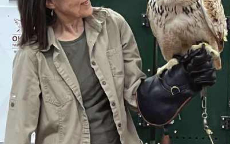 Nature’s Nursery and Ohio School of Falconry offers chance to win a unique falconry experience