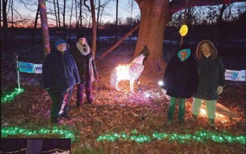 Wild lights illuminate W.W. Knight Nature Preserve