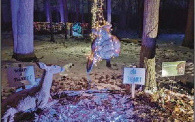 Wild lights illuminate W.W. Knight Nature Preserve