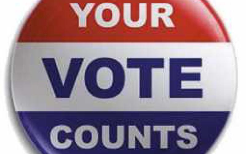 Perrysburg voters to decide candidates, issues on Nov. 8