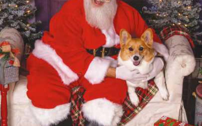 Nature’s Nursery to offer pet photos with Santa