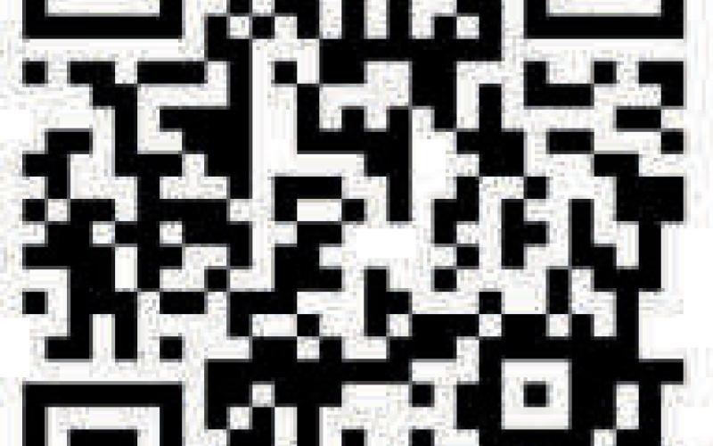 Alt Text for Image