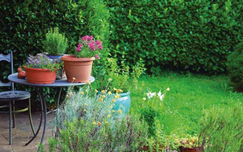 How to create more privacy on your property