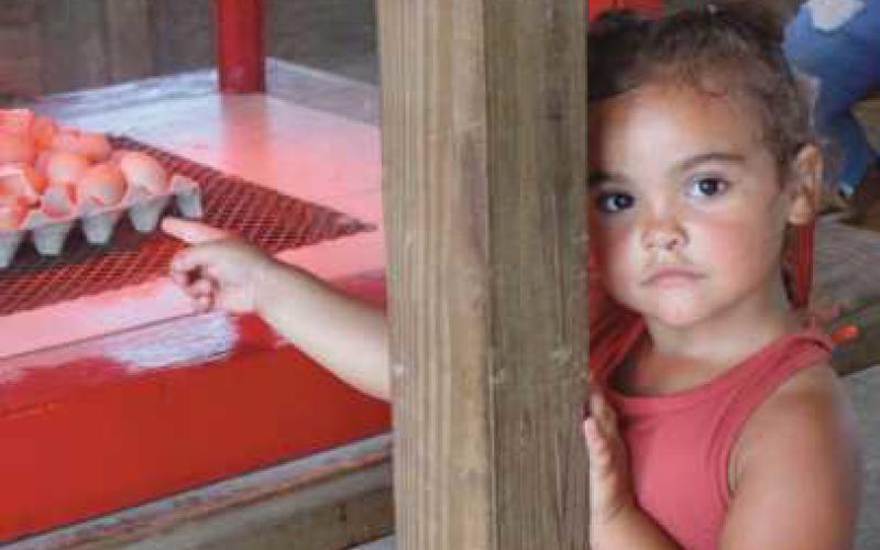 Heat, humidity and the Wood County Fair