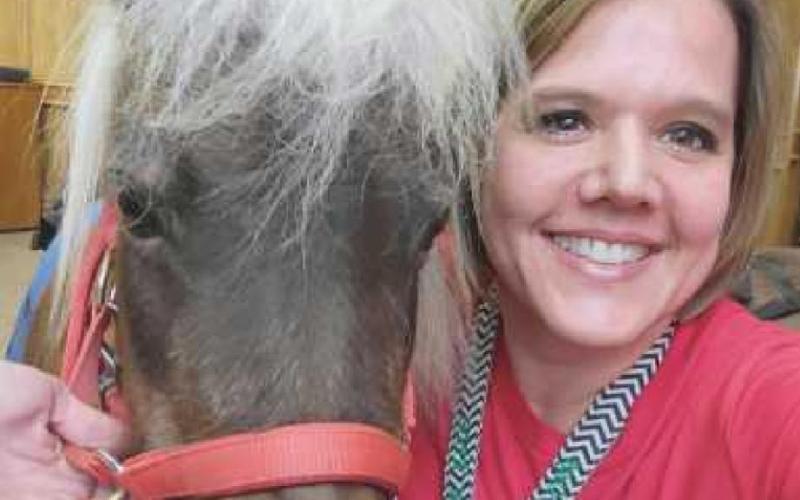 Rescue horses aid in healing