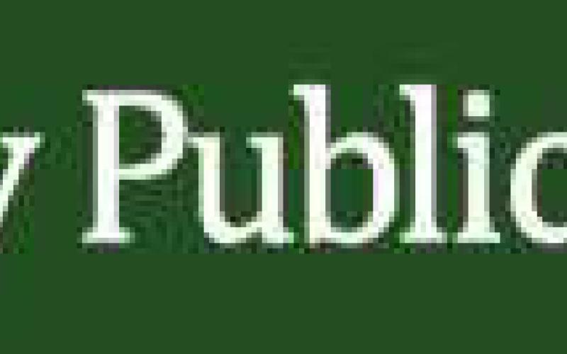 Way Public Library