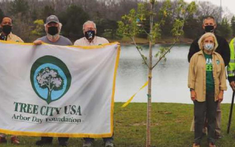 Helping the planet on Arbor Day