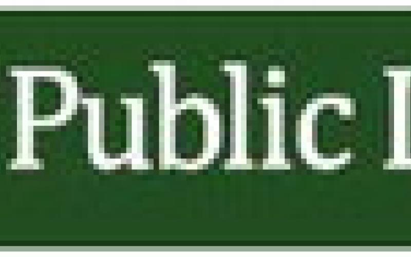 Way Public Library