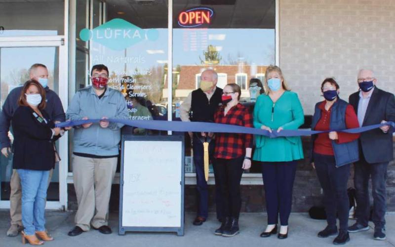 From left: Eric Hennan, president of the Perrysburg Chamber of Commerce; Vicky Canales Pratt, also with the chamber; Mr. Majchszak; city council member Barry VanHoozen; Mrs. Majchszak and city council members Deborah Born, Jan Materni and Mark Weber.