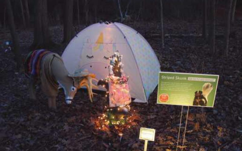 Wild Lights attracts area residents to W.W. Knight preserve
