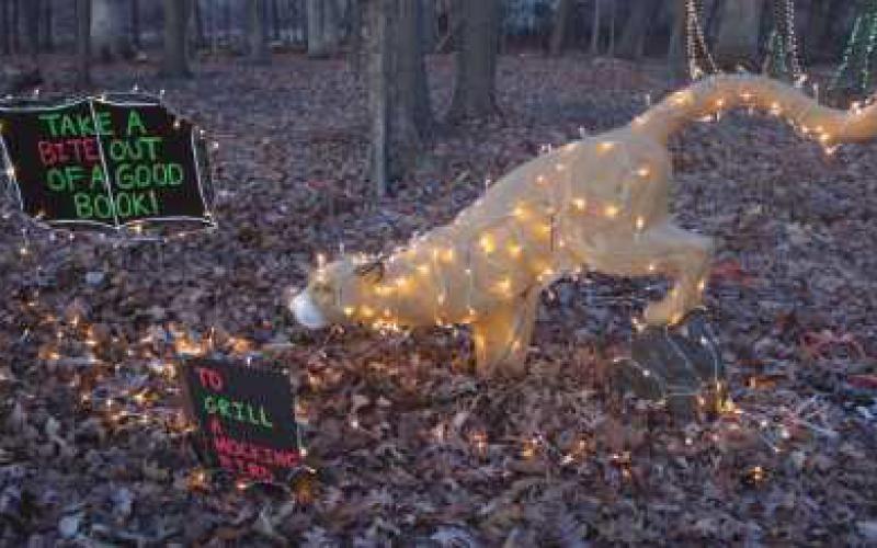 Wild Lights attracts area residents to W.W. Knight preserve