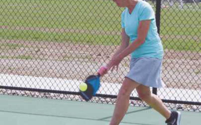 Welch family pickleball courts dedicated at Rotary Park