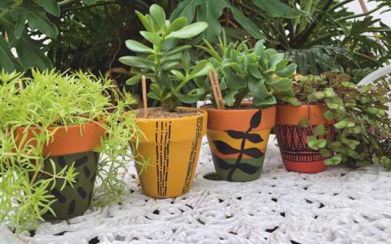 577 Foundation is offering holiday houseplants for sale while supplies last.
