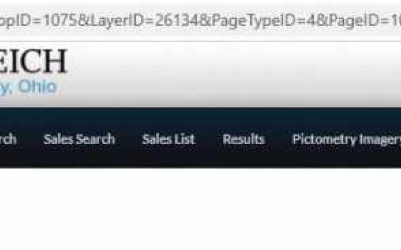 Levy estimator website informs voters of tax impact