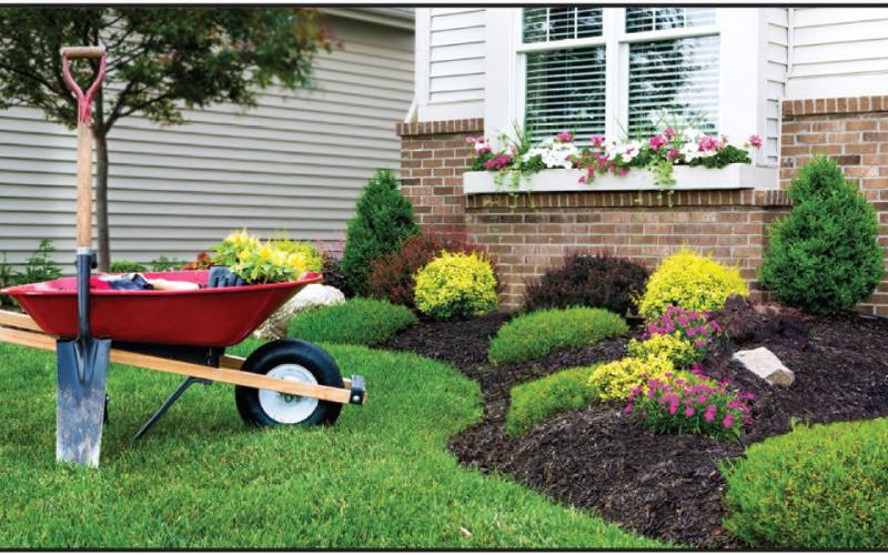 Curb appeal boosters