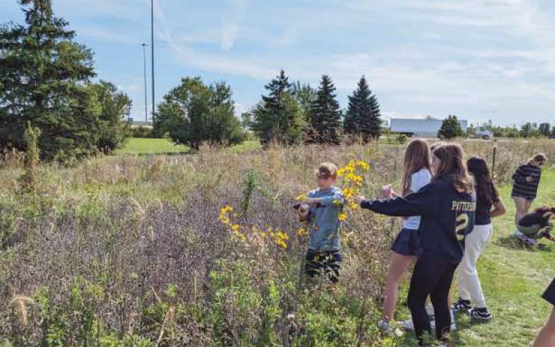 Students in the prairie outdoor learning environment at Perrysburg Junior High School.