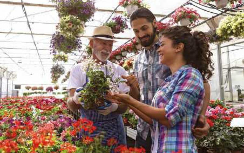 Benefits of planting native species in your yard