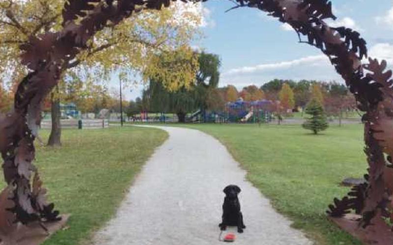 Sculpture Walk photo contest winners recognized
