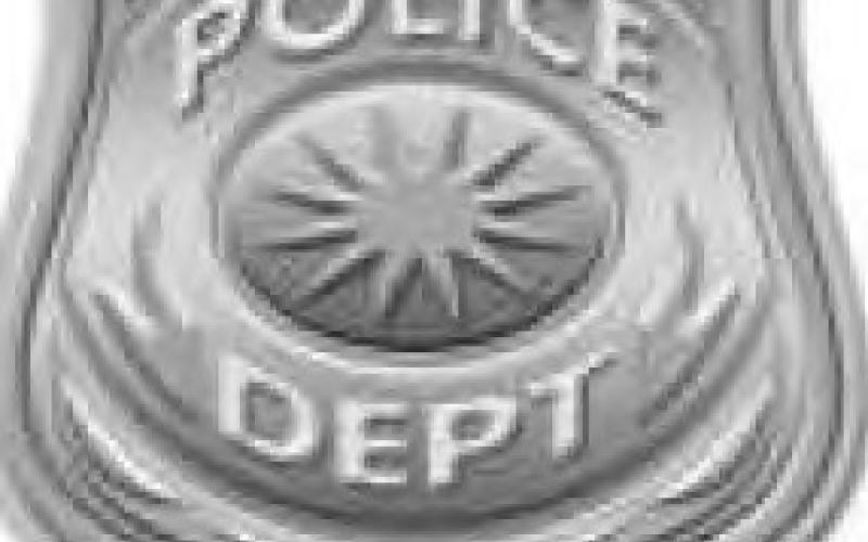 Perrysburg City Police Report