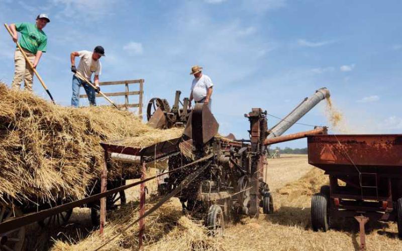 Five Point Steam Threshers celebrate 61 years