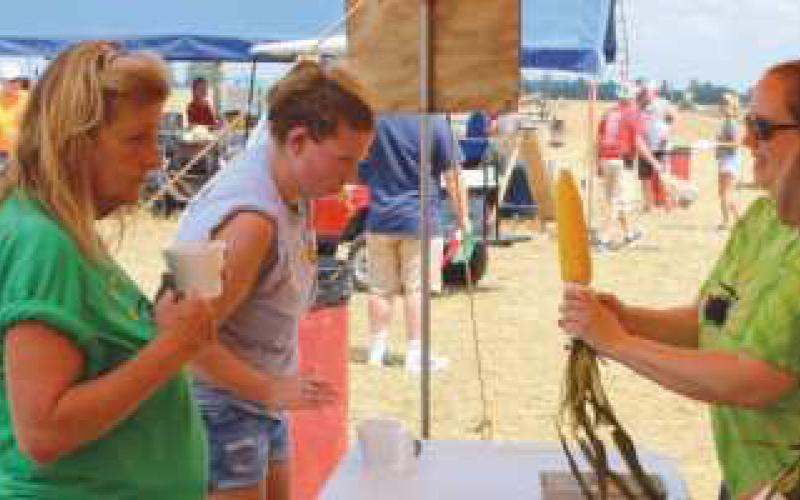 Five Point Steam Threshers celebrate 61 years