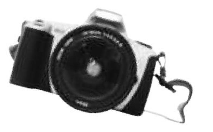 Alt Text for Image