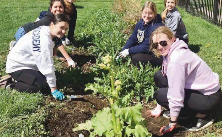 High school volunteers are hard at work on the new Aurora Project Community Garden.