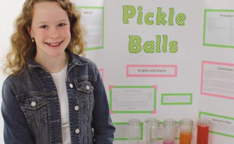 St. Rose Catholic School eighth graders compete in science fair